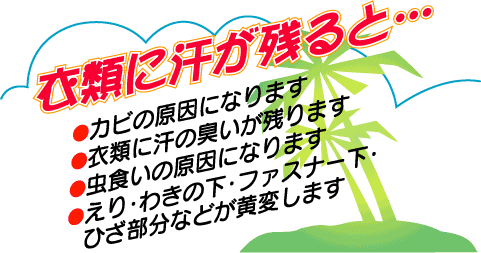 ���ʂ��N���[�j���O